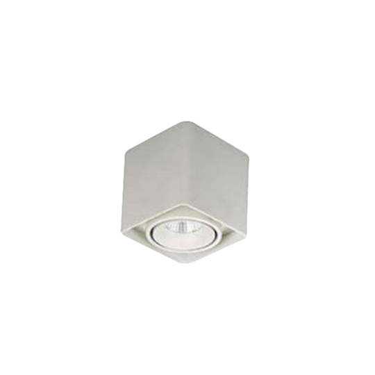 SURFACE MOUNTED DOWNLIGHT